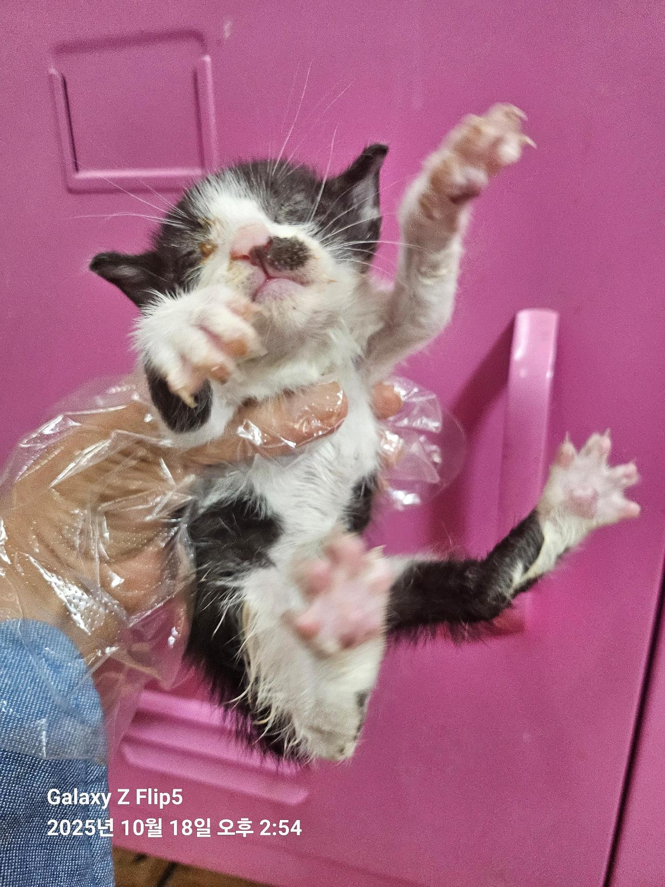 종료(자연사) 한국…